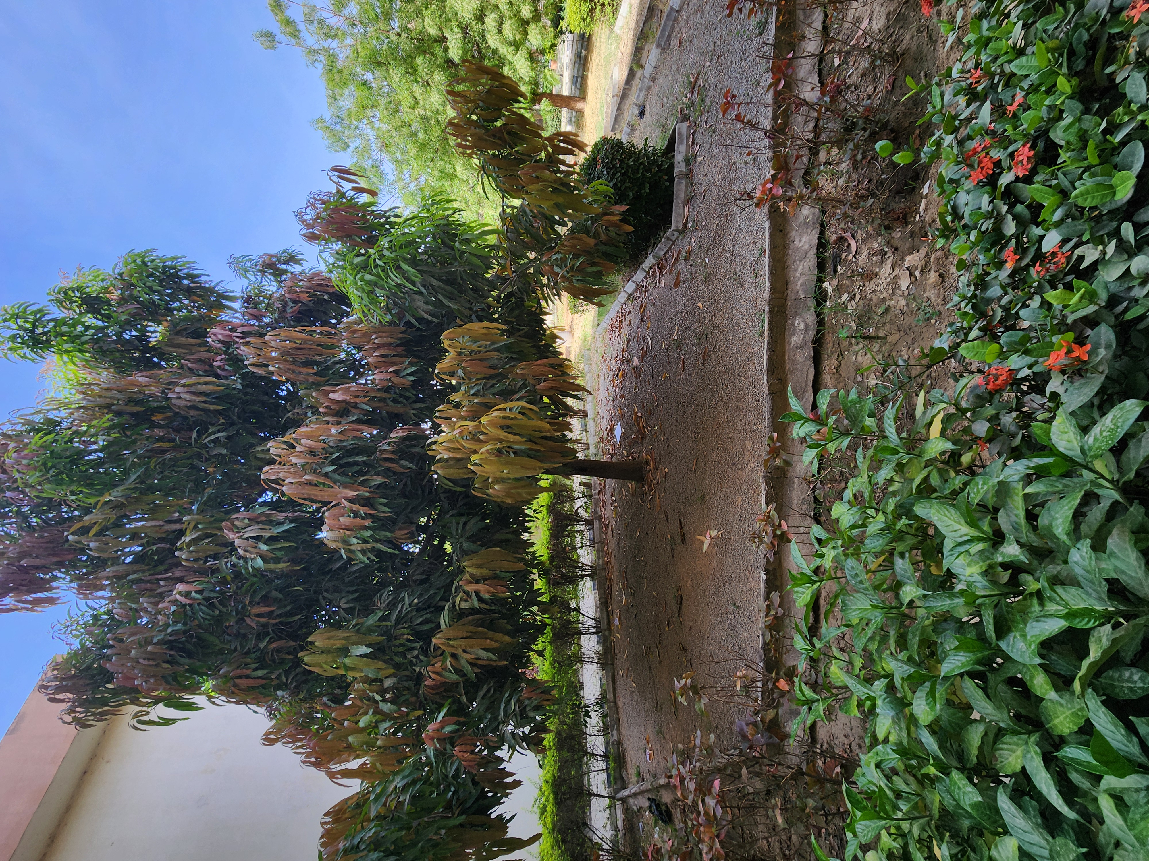 2026 photo