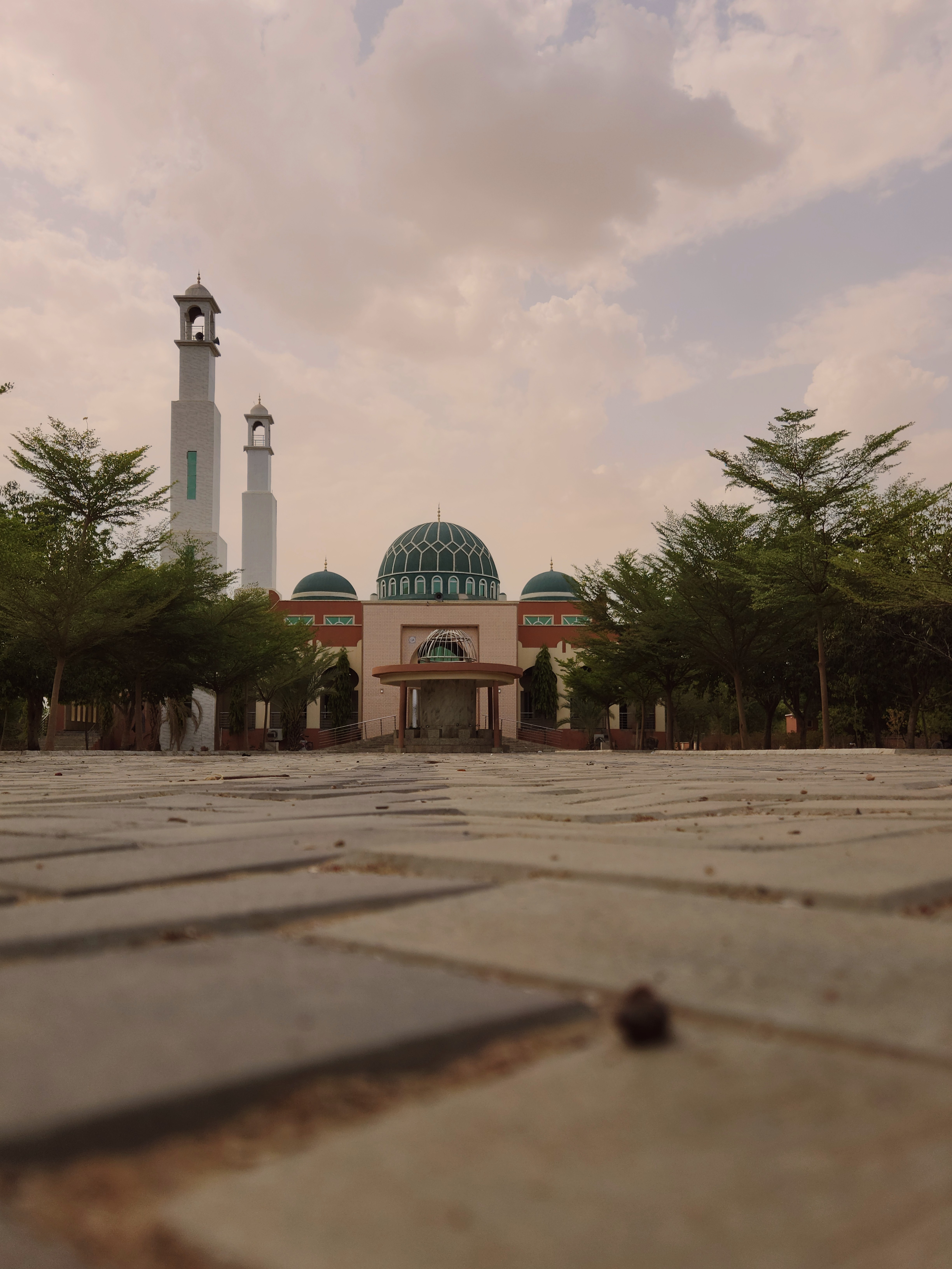 2026 photo
